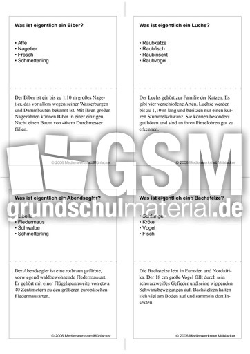 Quiz-Karten-Tiernamen 33.pdf